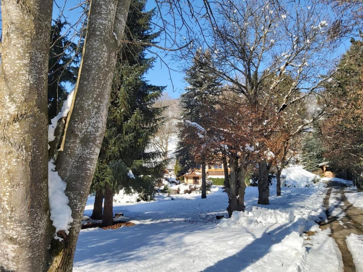 B&B Pension Karlsdorfer Hof Зеебоден Экстерьер фото